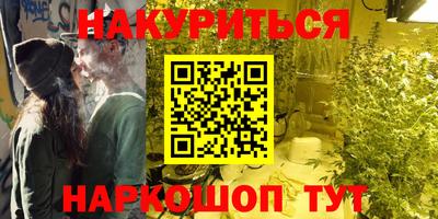 гашик Брянск