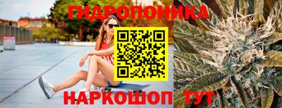 трава Братск