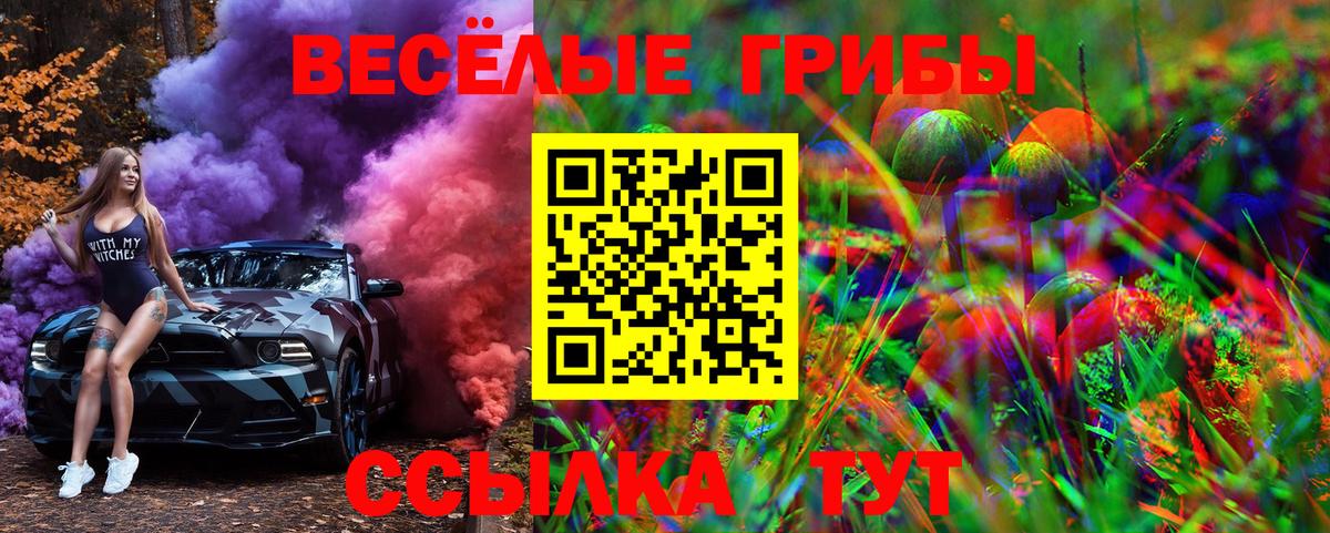 Галлюциногенные грибы GOLDEN TEACHER  Галлюциногенные грибы прущие грибы  Партизанск  Вход с VPN 